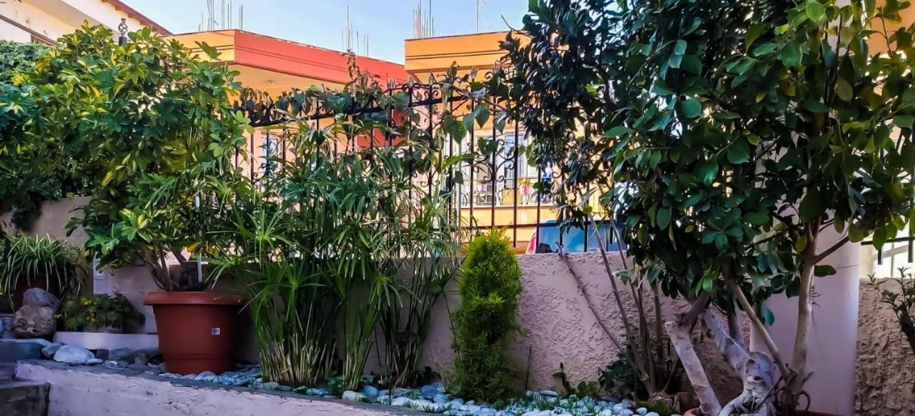 West Garden At Aigio By Greece Apartments Buitenkant foto